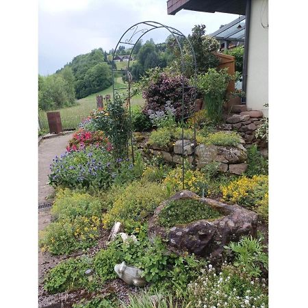 Ferienwohnung Wiesenblick Oberharmersbach Eksteriør bilde